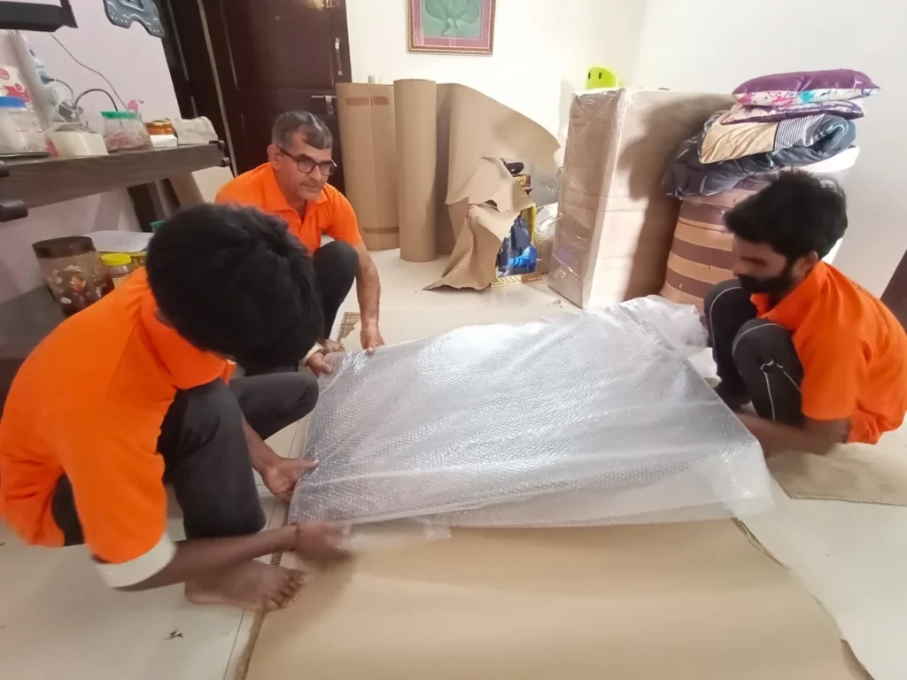 Professional packers and movers in Viman Nagar